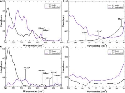 Chlorophyll-Derivative Modulation of Rhodopsin Signaling Properties through Evolutionarily Conserved Interaction Pathways